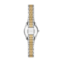 Load image into Gallery viewer, Scarlette Mini Three-Hand Two-Tone Stainless Steel Watch
